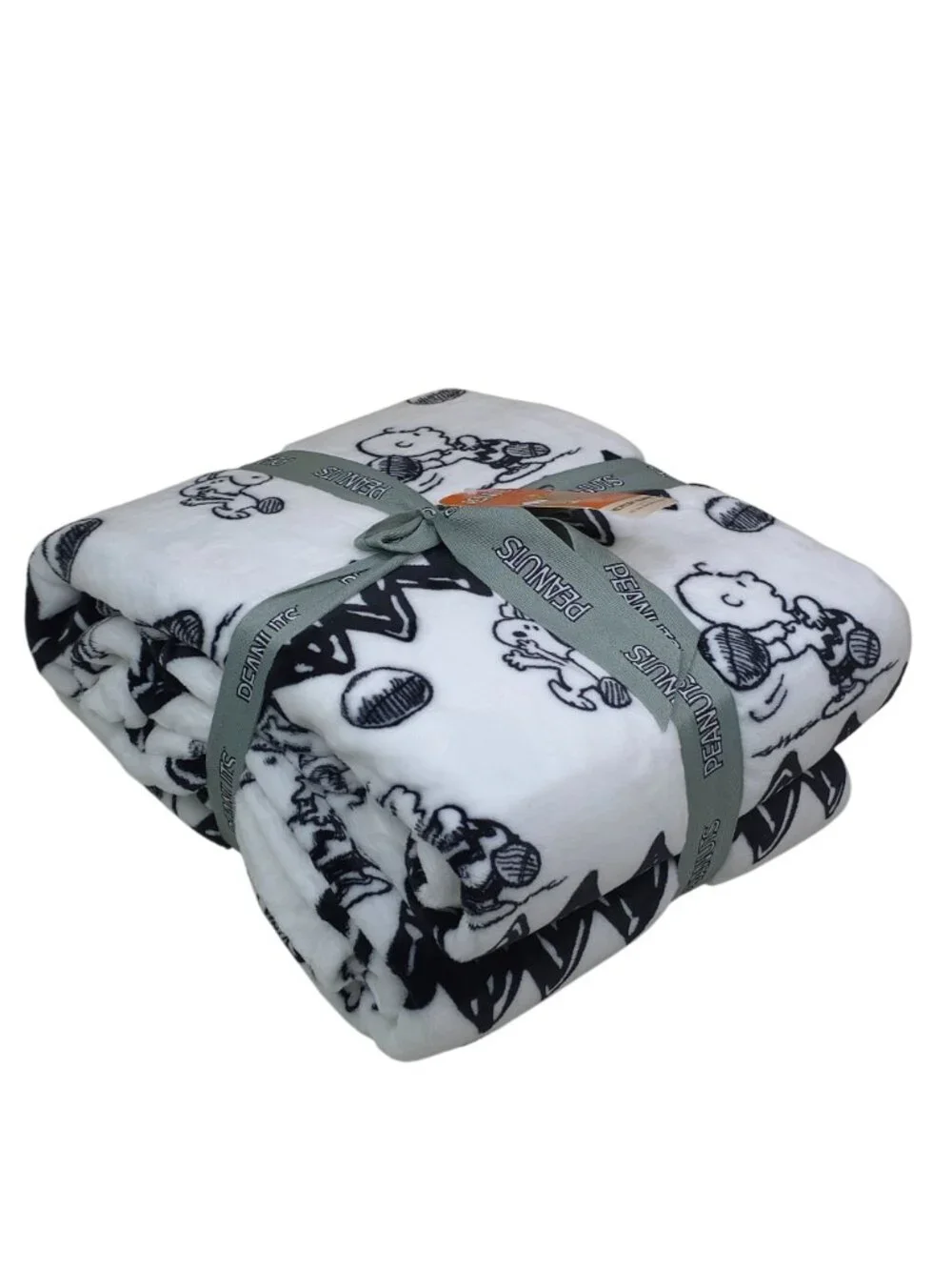 Peanuts VelvetLoft Plush Blanket Queen 90x90